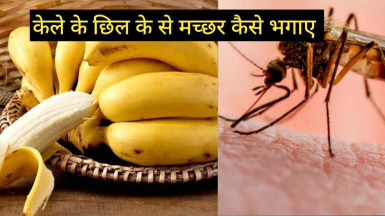 मच्छर भी भागेंगे केले के छिलके से